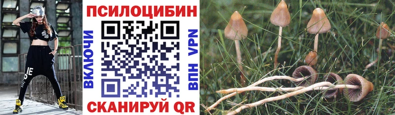 Галлюциногенные грибы Cubensis  Дыгулыбгей 